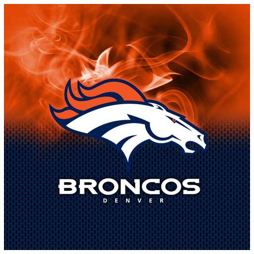 Buy Denver Broncos NFL Pro Team Towel